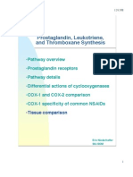 Prostaglandin Synthesis