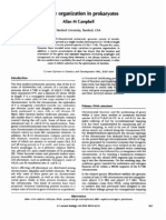 Genome Organization in Prokaryotes