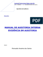 Auditoria Interna Evidencias