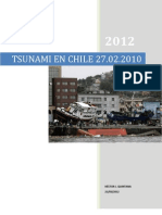 Artículo Documental Tsunami en Chile 2010