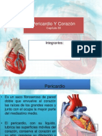 Pericardio Y Corazón Cap 30