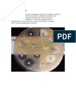 Zone of Inhibition