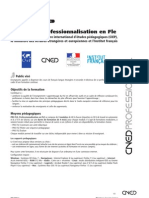 Fle Pro Professionnel