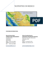 Other Mexico Mine Properties