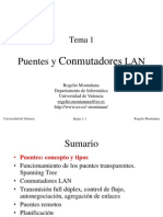 Tema 01-Puentes y Conmutadores LAN