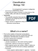 Bio102 Classification