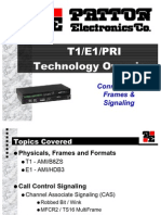 T1/E1/PRI Technology Overview: Connections, Frames & Signaling