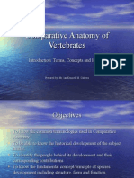 Comparative Anatomy of Vertebrates Presentation Lect 1