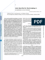 Cro Regulatory Protein