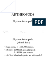 Arthropoda