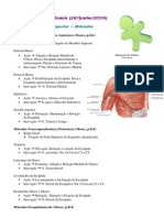 Revisão para Anatomia