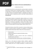 Articulo - 5 - PERIODO CRÍTICO Y SENSIBLE EN EL NEURODESARROLLO