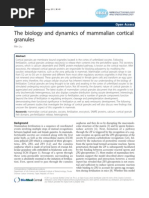 Cortical Granule Function