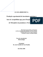 Produção Experimental de Inoculantes A Base de Azospirillum para FBN