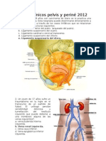 Casos Clinicos Pelvis y Perine