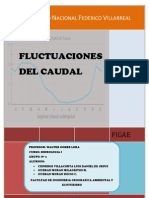 Informe Final Fluctuaciones