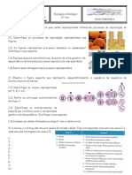 Ficha Formativa II