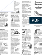 Mammals of SPR