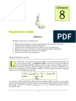 Bioquimica Experimento