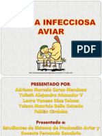 Anemia Infecciosa Aviar. Alejandra Afanador