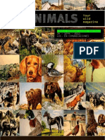 Animals: Your Wild Magazine