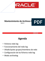 Mantenimiento Archivos RedoLog