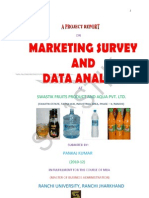 Marketing Survey and Data Analysis