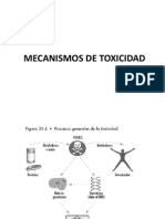 Mecanismos de Toxicidad