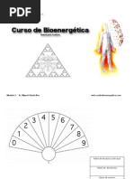 Curso de Bioenergetica-Módulo 2