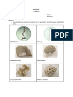 Phylum Cnidaria Worksheet