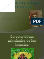 Ciencias