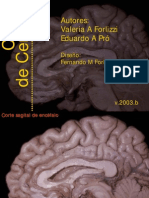 Cortes de Cerebro