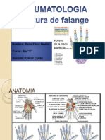 Fractura de Falanges