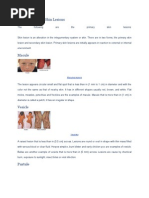 Types of Primary Skin Lesions