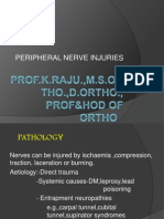 Peripheral Nerve Injuries