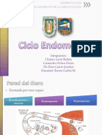 Ciclo Endometrial