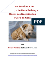 Como Enseñar A Un Cachorro de Raza Bulldog A Hacer Sus Necesidades Fuera de Casa