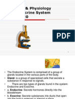 Anatomy and Physiology Chapter 21 The Sensory System