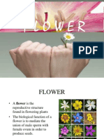 Flower Lab Discuss