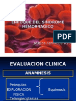 Enfoque Del Sindrome Hemorragico