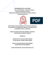 Instituciones Que Intervienen en El Proceso de Adopción y Su Funcion en La Busqueda Del Respeto A Los Derechos de Los Menores Sujeto A Adopción