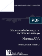 Normas APA Web