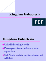 Kingdom Eubacteria