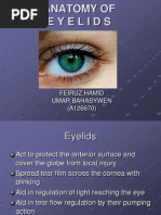 Anatomy of Eyelids