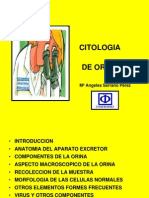 Citologia de Orina ANGELES