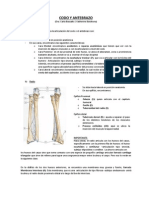 Transcripcion Clase Codo y Antebrazo