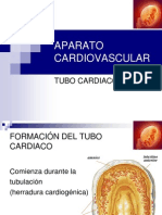 Embriología Aparato Cardiovascular