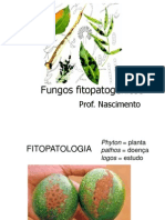 Fungo Fitopatogenico Aluno