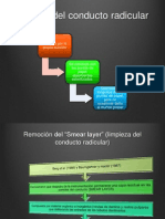 Tratamientos de Conductos en Odontopediatria