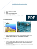 Produção de Petróleo Elevação Artificial